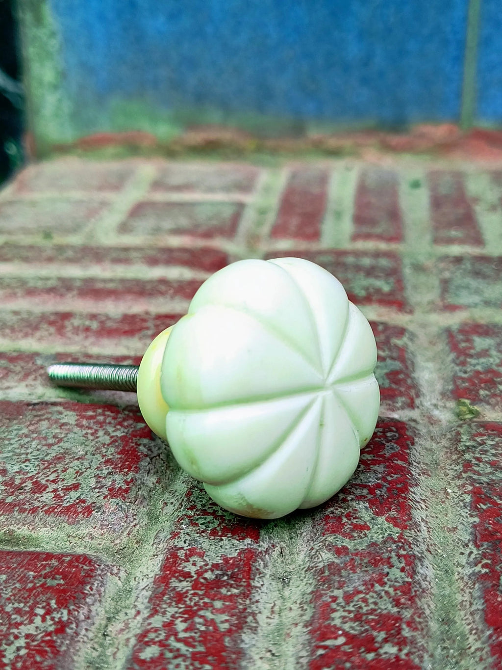 Carved Bone Knob Handmade | Round Bone Drawer Pull for Cabinets, Dressers & Kitchen | Boho Style Furniture Hardware Décor