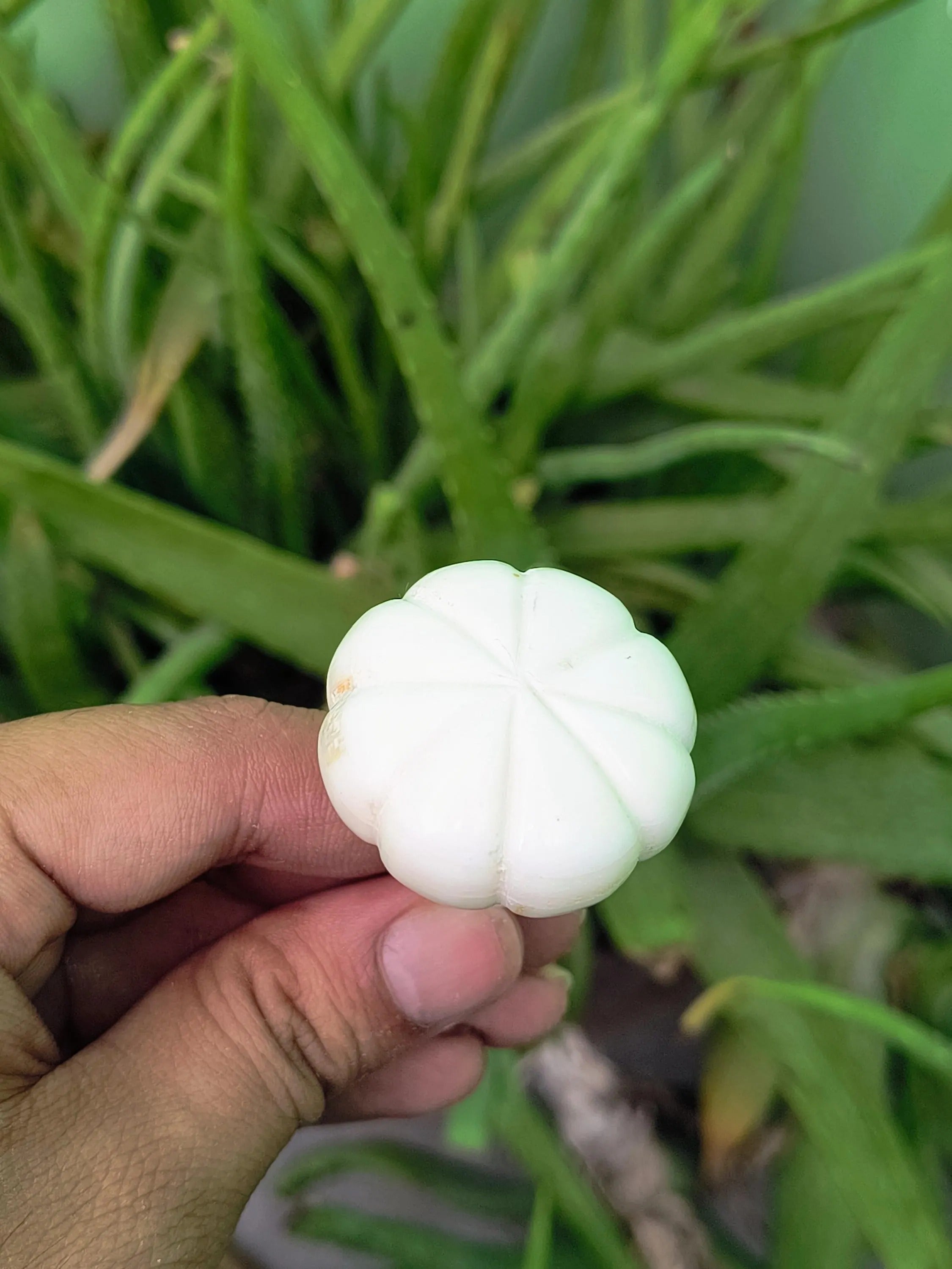 Carved Bone Knob Handmade | Round Bone Drawer Pull for Cabinets, Dressers & Kitchen | Boho Style Furniture Hardware Décor